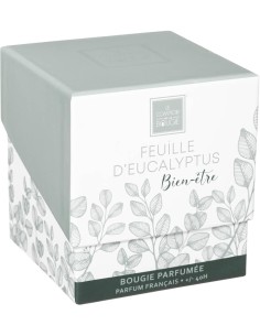 Candela profumata Mael Atmosphera 190 g Eucalipto 2