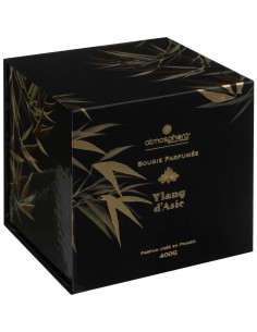 Candela profumata Plum con ylang ylang esotico – Atmosphera