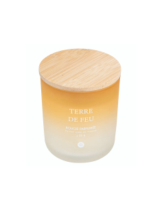 Candela profumata Terre de Feu Bouquet di Lila 255 g – Atmosphera