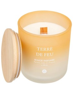 Candela profumata Terre de Feu Bouquet di Lila 255 g – Atmosphera 2