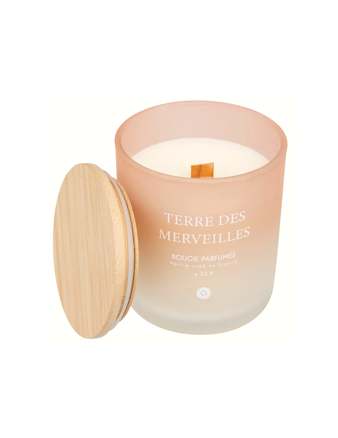 Candela profumata Terre des Merveilles Petali di Muschio 255 g – Atmosphera