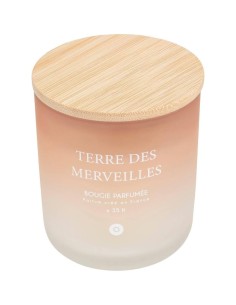 Candela profumata Terre des Merveilles Petali di Muschio 255 g – Atmosphera