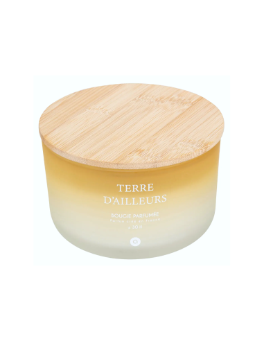 Candela profumata Terre d’Ailleurs Petali di Muschio 420 g – Atmosphera