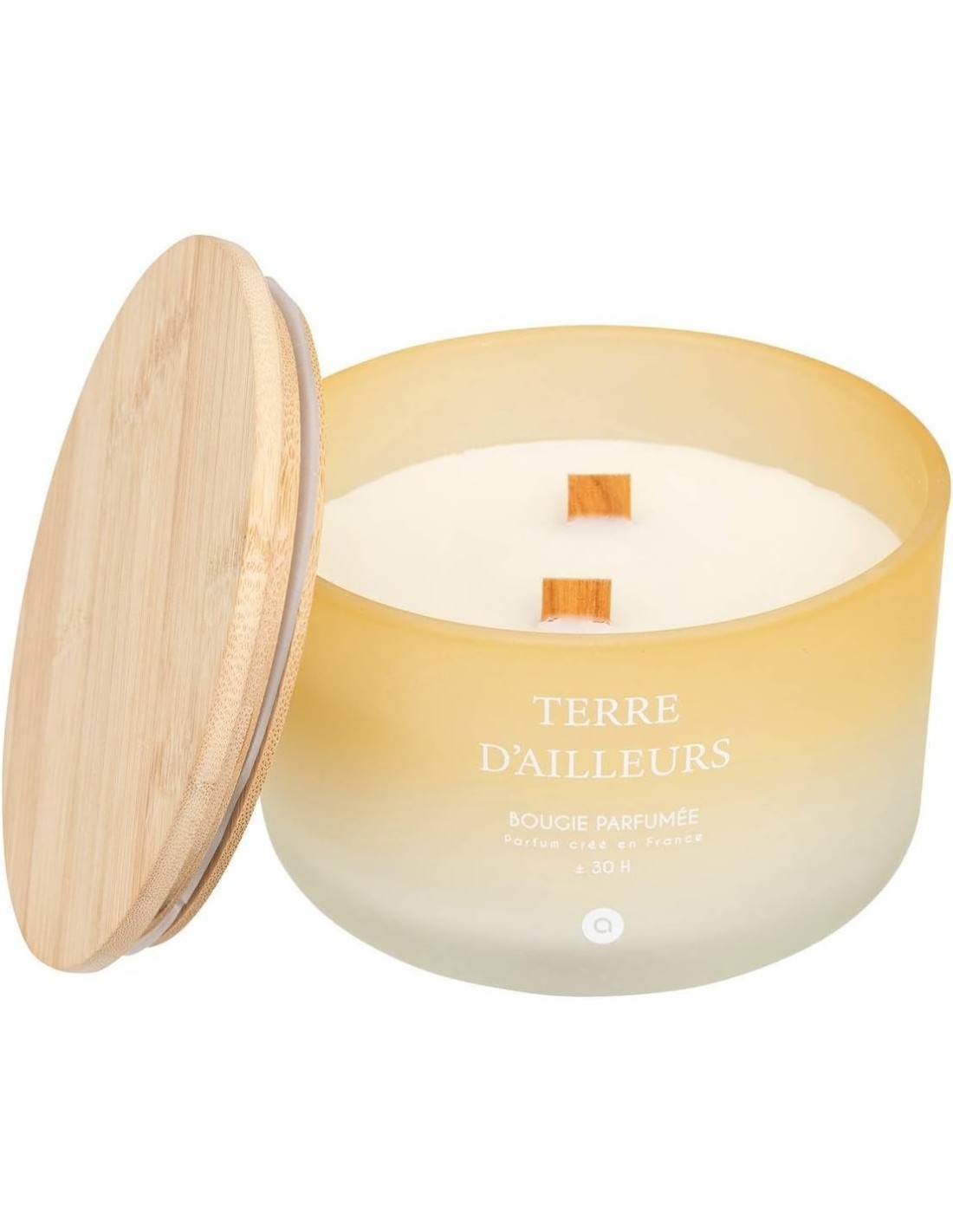 Candela profumata Terre d’Ailleurs Petali di Muschio 420 g – Atmosphera