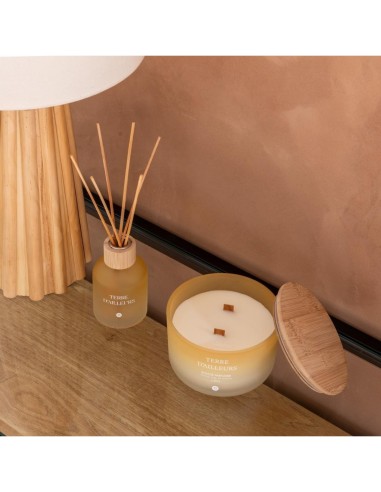 Candela profumata Terre d’Ailleurs Petali di Muschio 420 g – Atmosphera