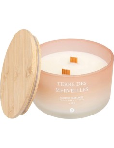 Candela profumata Terre des Merveilles Petali di Muschio 420 g – Atmosphera