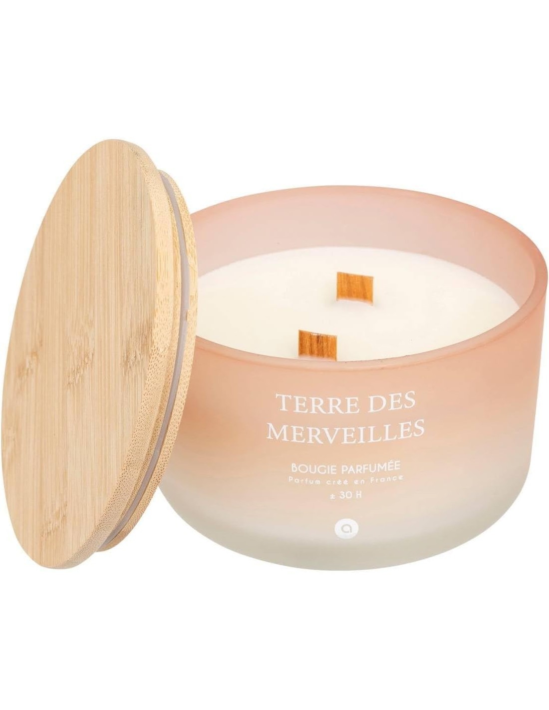 Candela profumata Terre des Merveilles Petali di Muschio 420 g – Atmosphera