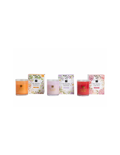 CANDELA 47201 VETRO 260GR FRAGRANZE ASSORTITE