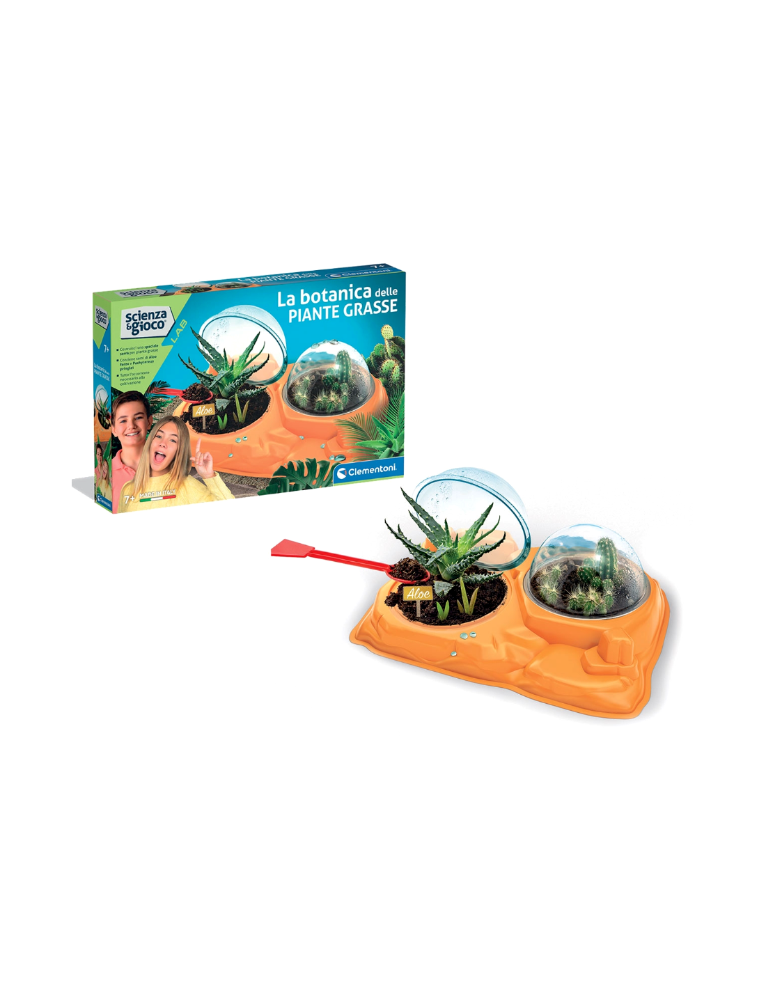 SCIENZA G.19422 BOTANICA DELLE PIANTE GRASSE