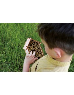 I'M GENIUS LABORATORIO DELLE API, KIT SCIENTIFICO EDUCATIVO