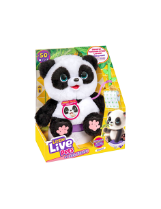 LIVE PETS 20486272 BABY PANDA CON VASINO