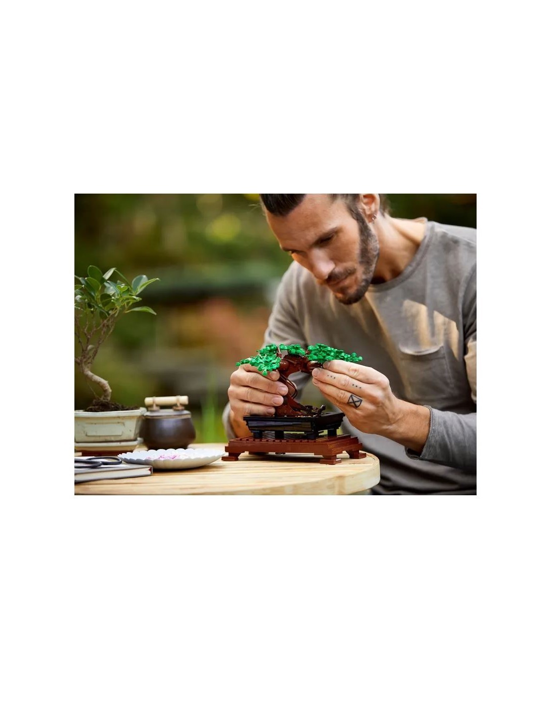 BOTANICAL 10281 ALBERO BONSAI su TreG Ingrosso