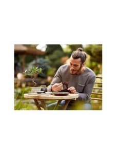 BOTANICAL 10281 ALBERO BONSAI su TreG Ingrosso