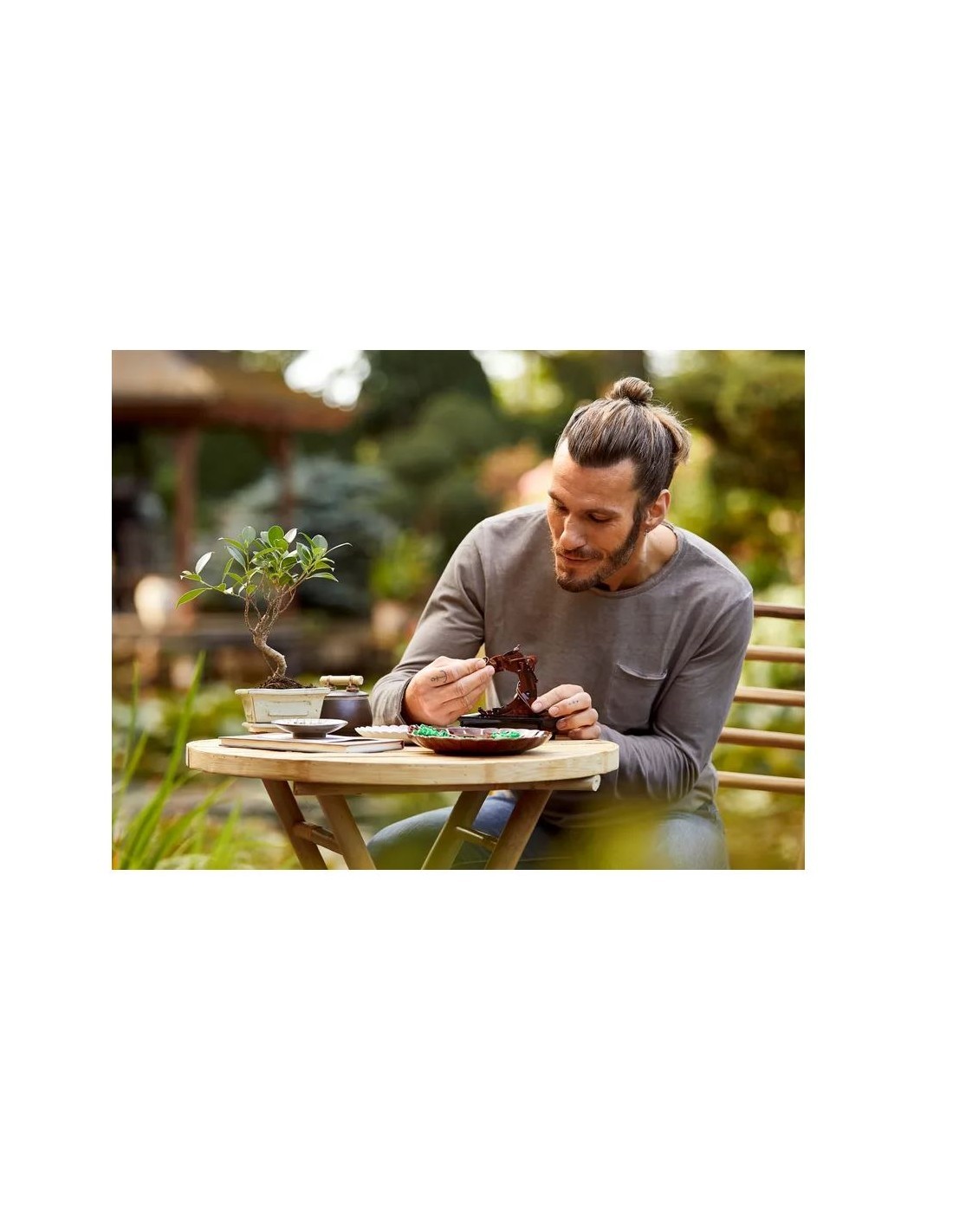 BOTANICAL 10281 ALBERO BONSAI su TreG Ingrosso