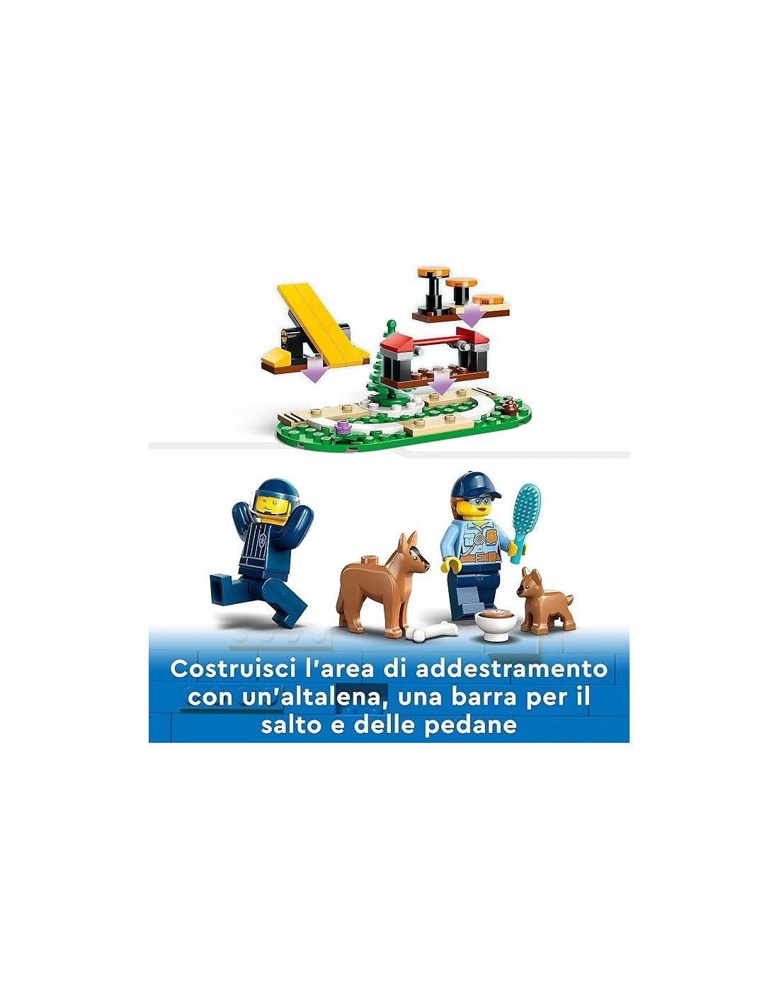 CITY ADDESTRAMENTO CINOFILO MOBILE 60369 su TreG Ingrosso