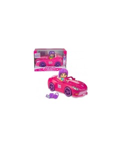 Pinypon Let's Go! Macchina, Giocattolo Assortito, Accessori Inclusi, Personaggio Pinypon, Bambini 4+, Famosa