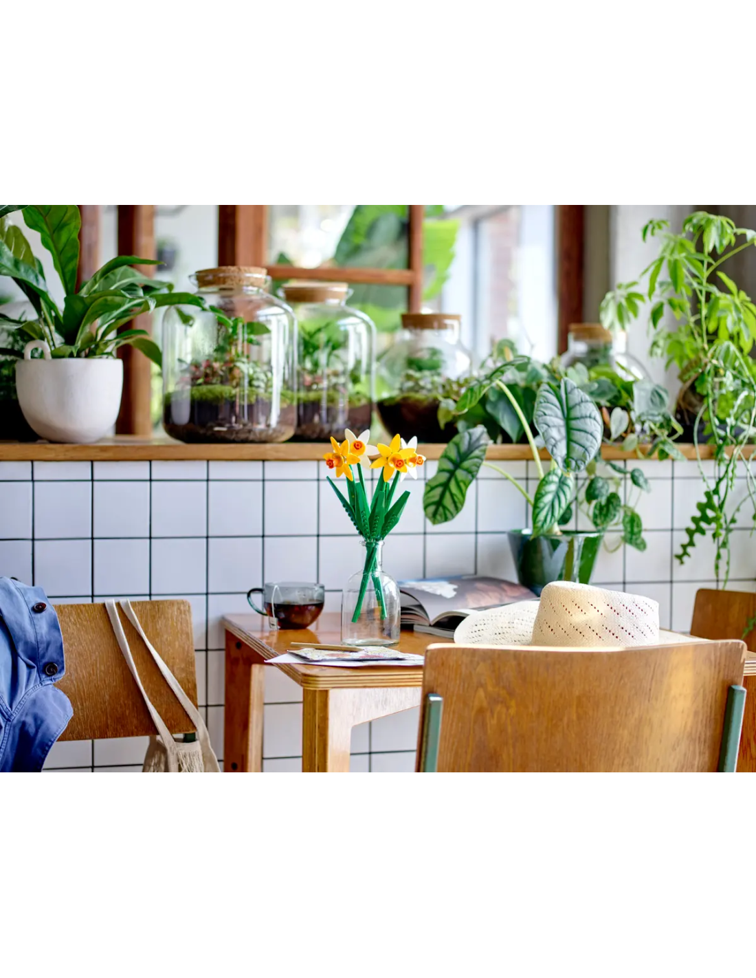 CREATOR NARCISI 40747