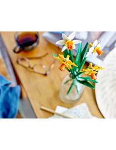 CREATOR NARCISI 40747