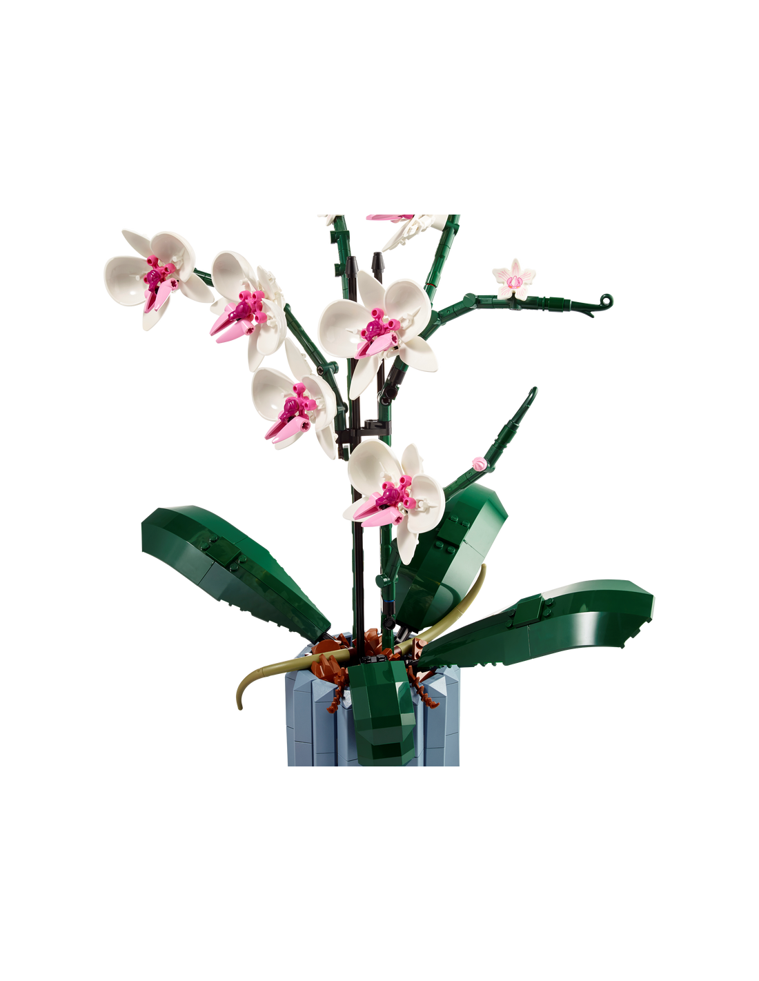 Lego Botanical collection Orchidea