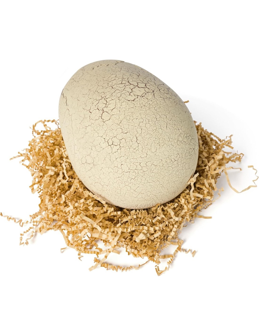 Jurassic World Primal Hatch Uovo di T-Rex Interattivo – Spin Master