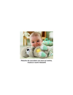 FISHER PRICE FXC66 LONTRA SOFFICE RELAX su TreG Ingrosso