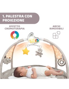 PALESTRINA DEI COLORI GRIGIO CHICCO su TreG Ingrosso