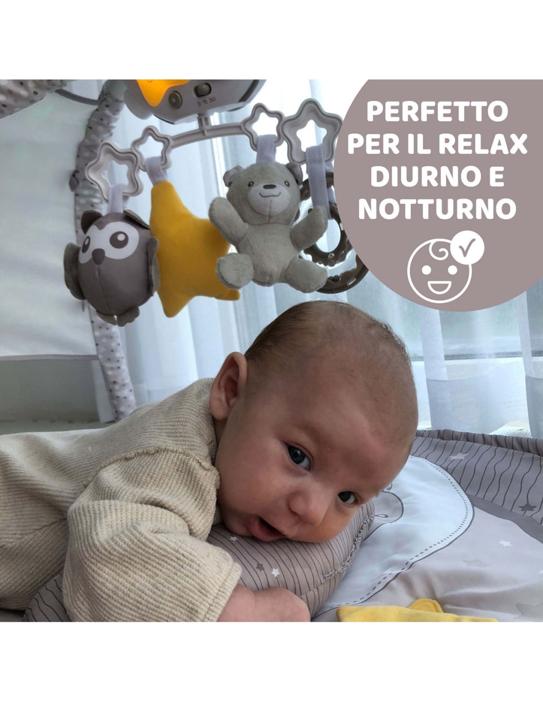 PALESTRINA DEI COLORI GRIGIO CHICCO su TreG Ingrosso