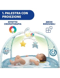 PALESTRINA DEI COLORI AZZURRO CHICCO su TreG Ingrosso
