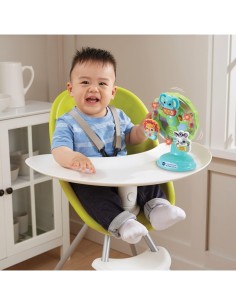 VTech Baby Ruota Panoramica - Gioco Interattivo per Bambini 6-36 Mesi