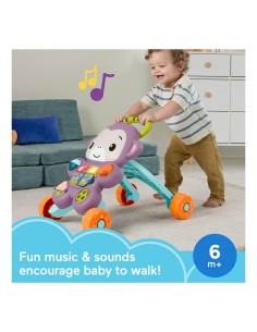 FISHER PRICE SCIMMIETTA PRIMI PASSI, GIOCATTOLO EDUCATIVO, PER BAMBINI 2