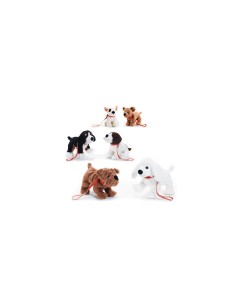 CANI 15719 C/G KICKI S ASS