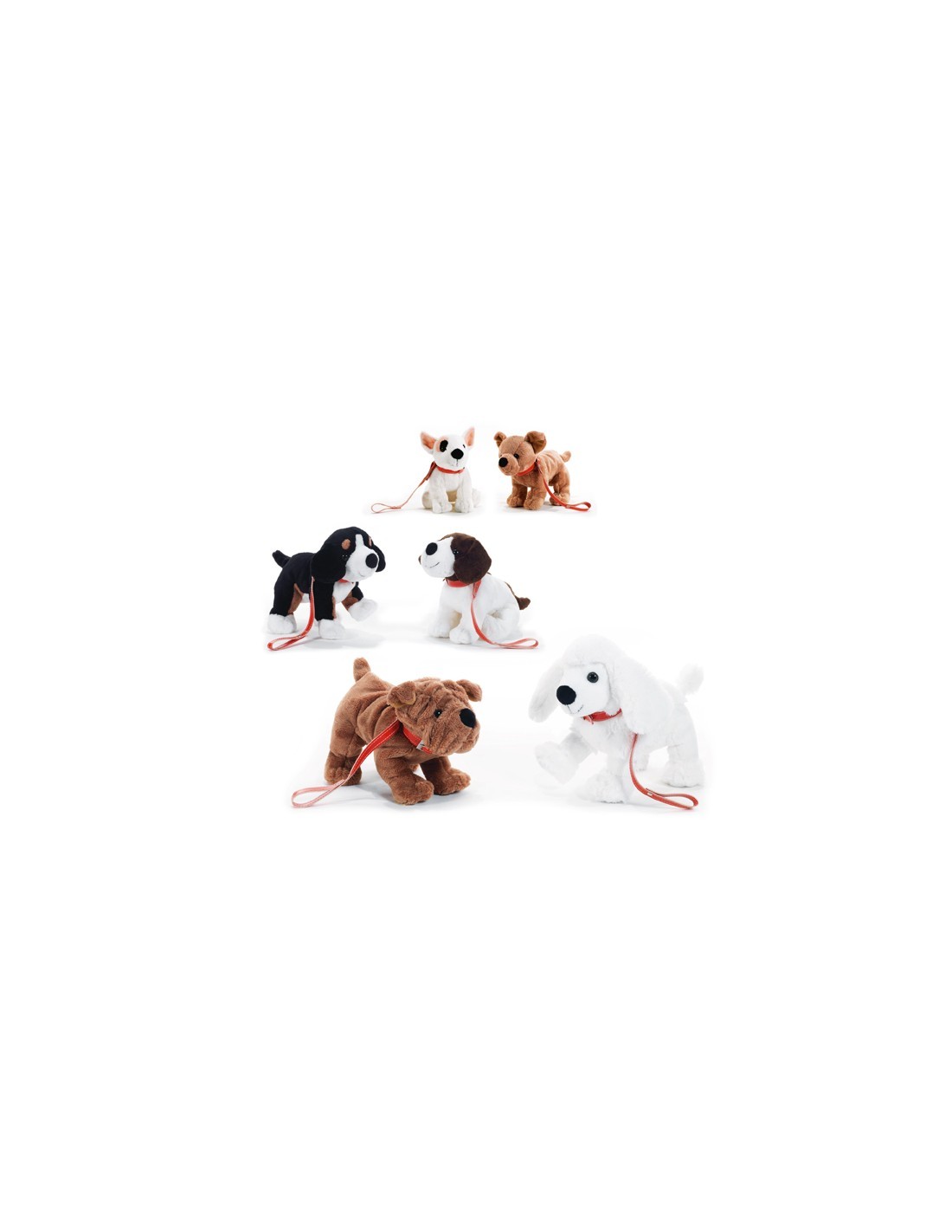 CANI 15719 C/G KICKI S ASS