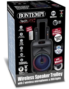 CASSA TROLLEY  WIRELESS 2 MICROFONI SENZA FILO, LUCI RGB, TELECOMANDO, DISPLAY, FUNZIONE TWS, 48X29X24 CM