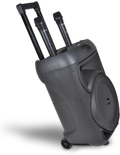 CASSA TROLLEY  WIRELESS 2 MICROFONI SENZA FILO, LUCI RGB, TELECOMANDO, DISPLAY, FUNZIONE TWS, 48X29X24 CM 2