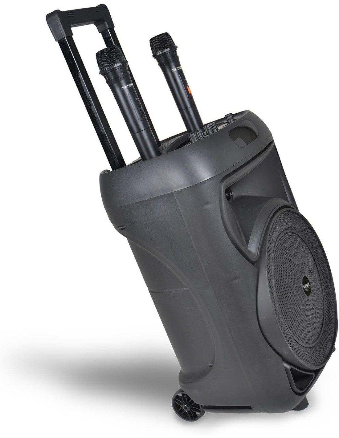 CASSA TROLLEY  WIRELESS 2 MICROFONI SENZA FILO, LUCI RGB, TELECOMANDO, DISPLAY, FUNZIONE TWS, 48X29X24 CM