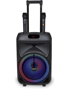 CASSA TROLLEY  WIRELESS 2 MICROFONI SENZA FILO, LUCI RGB, TELECOMANDO, DISPLAY, FUNZIONE TWS, 48X29X24 CM