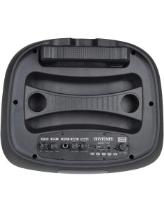 CASSA TROLLEY  WIRELESS 2 MICROFONI SENZA FILO, LUCI RGB, TELECOMANDO, DISPLAY, FUNZIONE TWS, 48X29X24 CM