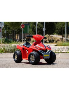 QUAD RACY 6V 11252 su TreG Ingrosso