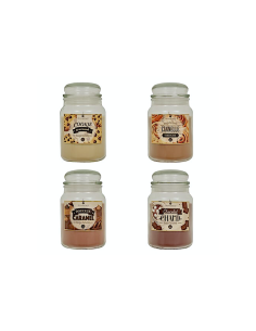 CANDELA PROFUMATA 211700 VETRO 490GR ASSORTITO