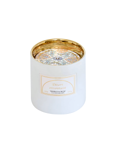 CANDELA PROFUMATA 211643A VANIGLIA 250GR CERAMICA