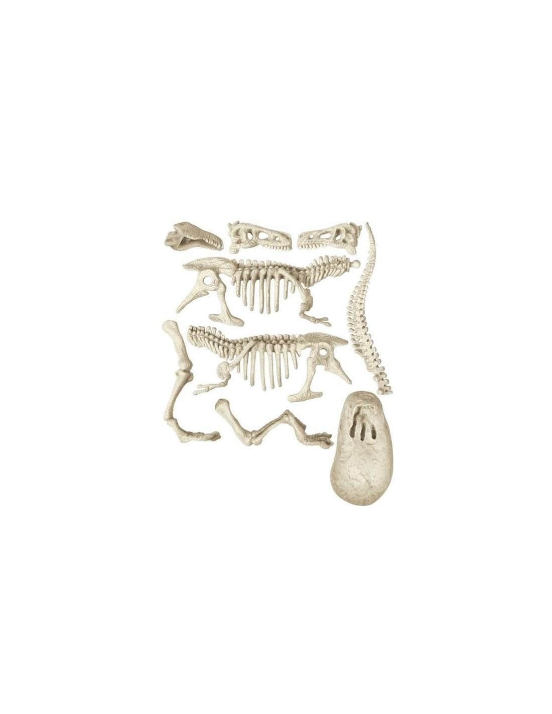 SCIENZA&GIOCO 19165 T-REX su TreG Ingrosso