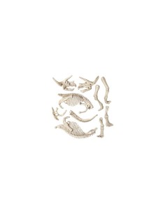 SCIENZA&G.19164 TRICERATOPO su TreG Ingrosso