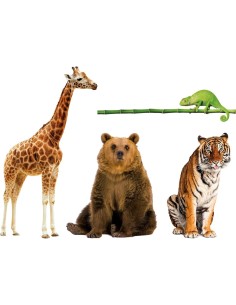 GIOCO CARTE 16733 ANIMALI DA RECORD su TreG Ingrosso