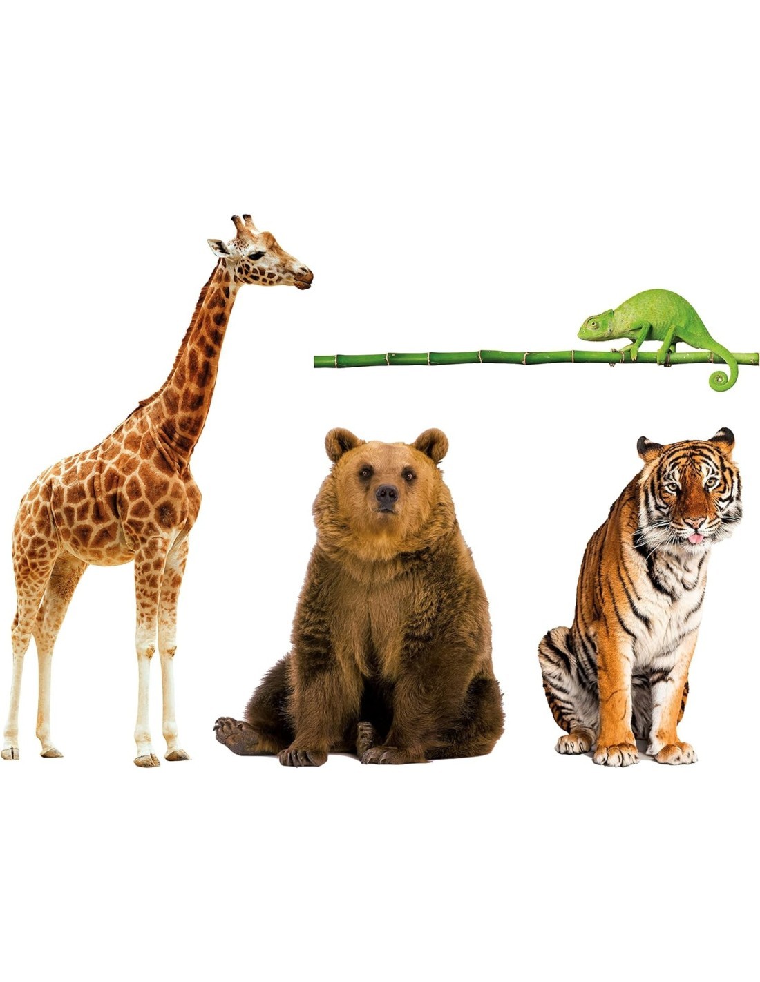 GIOCO CARTE 16733 ANIMALI DA RECORD su TreG Ingrosso