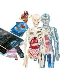 SCIENZA E G.19299 ANATOMIA SUPER su TreG Ingrosso