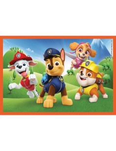 CLEMENTONI, PAW PATROL, PUZZLE CUBI, 6 PEZZI, BAMBINI 2 ANNI, CARTONI ANIMATI, MADE IN ITALY