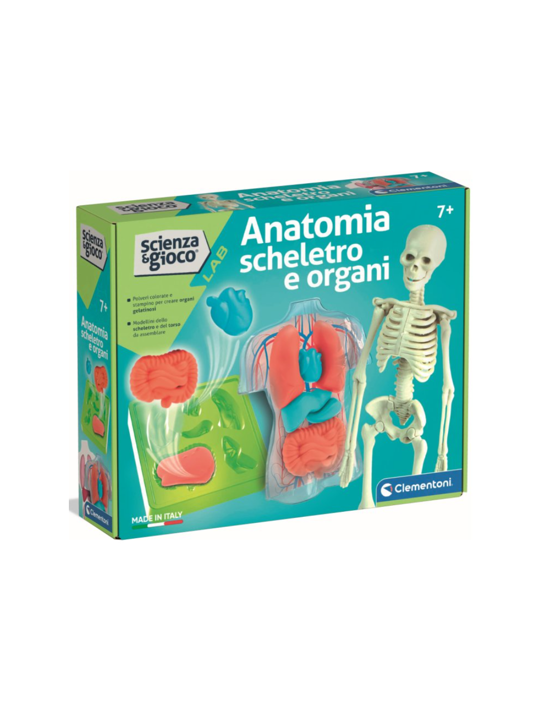 CLEMENTONI, SCIENZA E GIOCO, ANATOMIA, SCHELETRO E ORGANI, GIOCO EDUCATIVO, 8+ ANNI, 19414