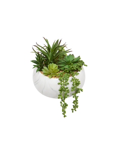 PIANTA GRASSA 210115 JESTY 21X18CM VASO CERAMICA