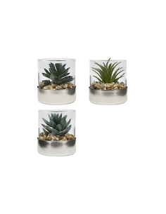 PIANTINA 210248 SKY ASSORTITO 8X8CM VASO PLASTICA/VETRO