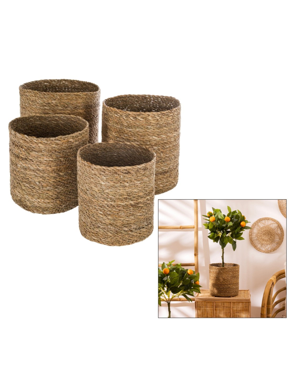 Set 4 ceste Emmet, canna naturale, cestini decorativi, taglie assortite, marrone